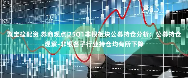 聚宝盆配资 券商观点|25Q1非银板块公募持仓分析：公募持仓观察-非银各子行业持仓均有所下降