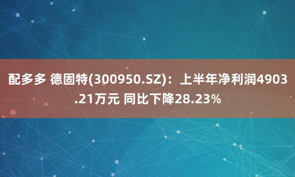 配多多 德固特(300950.SZ)：上半年净利润4903.21万元 同比下降28.23%